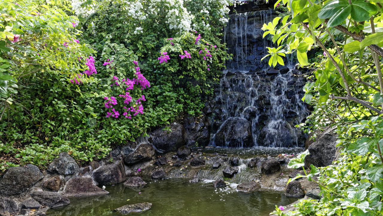 20170209 093712•Stony Hill•GrosIslet•Saint Lucia